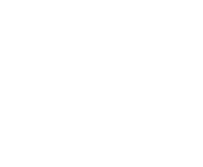 Evolution games at Tiger Spin Casino